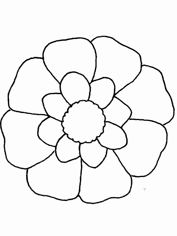 Printable Hawaiian Flower Coloring Pages | Fun Coloring Pages