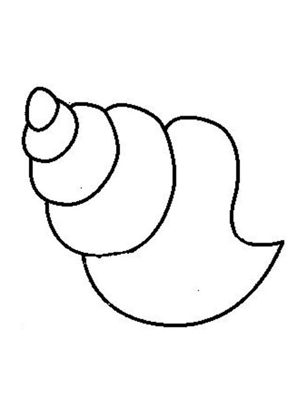 SHELL coloring pages - Sea shell