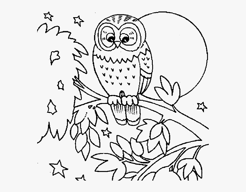 Cute Owl Coloring Pages Printable - Fall Animal Coloring Pages, HD Png  Download , Transparent Png Image - PNGitem