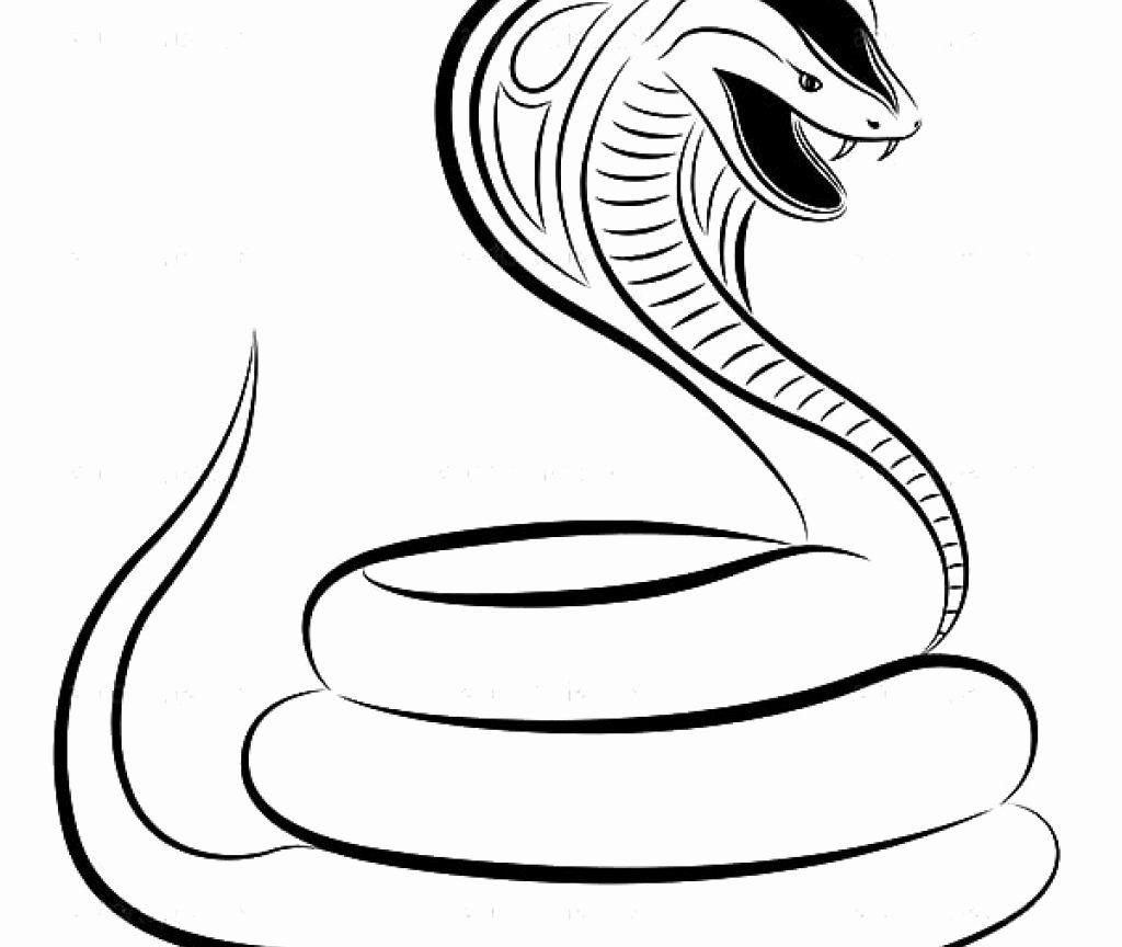 King Cobra Coloring Sheet