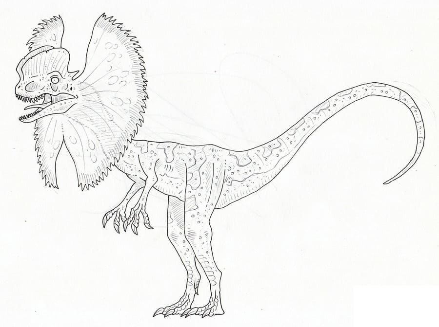 Dilophosaurus Printable Coloring Page - Free Printable Coloring Pages for  Kids