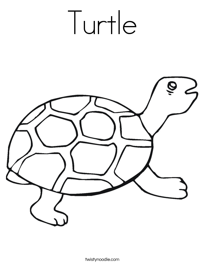 Tortoise Coloring Page - Twisty Noodle