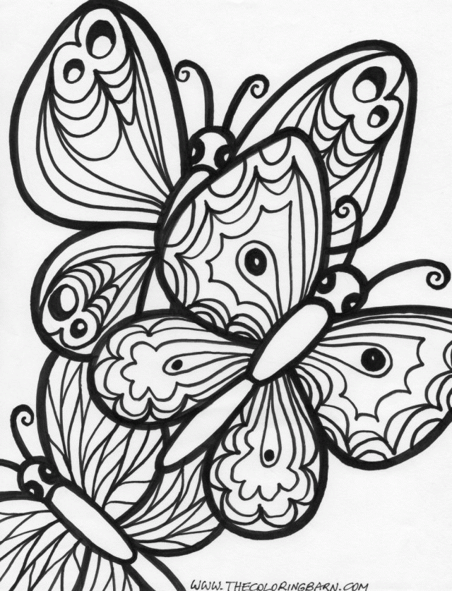 Very Detailed Butterfly Coloring Pages - Coloringmania.pw