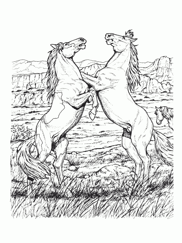 Coloring Pages For Adults Horses - Free coloring pages