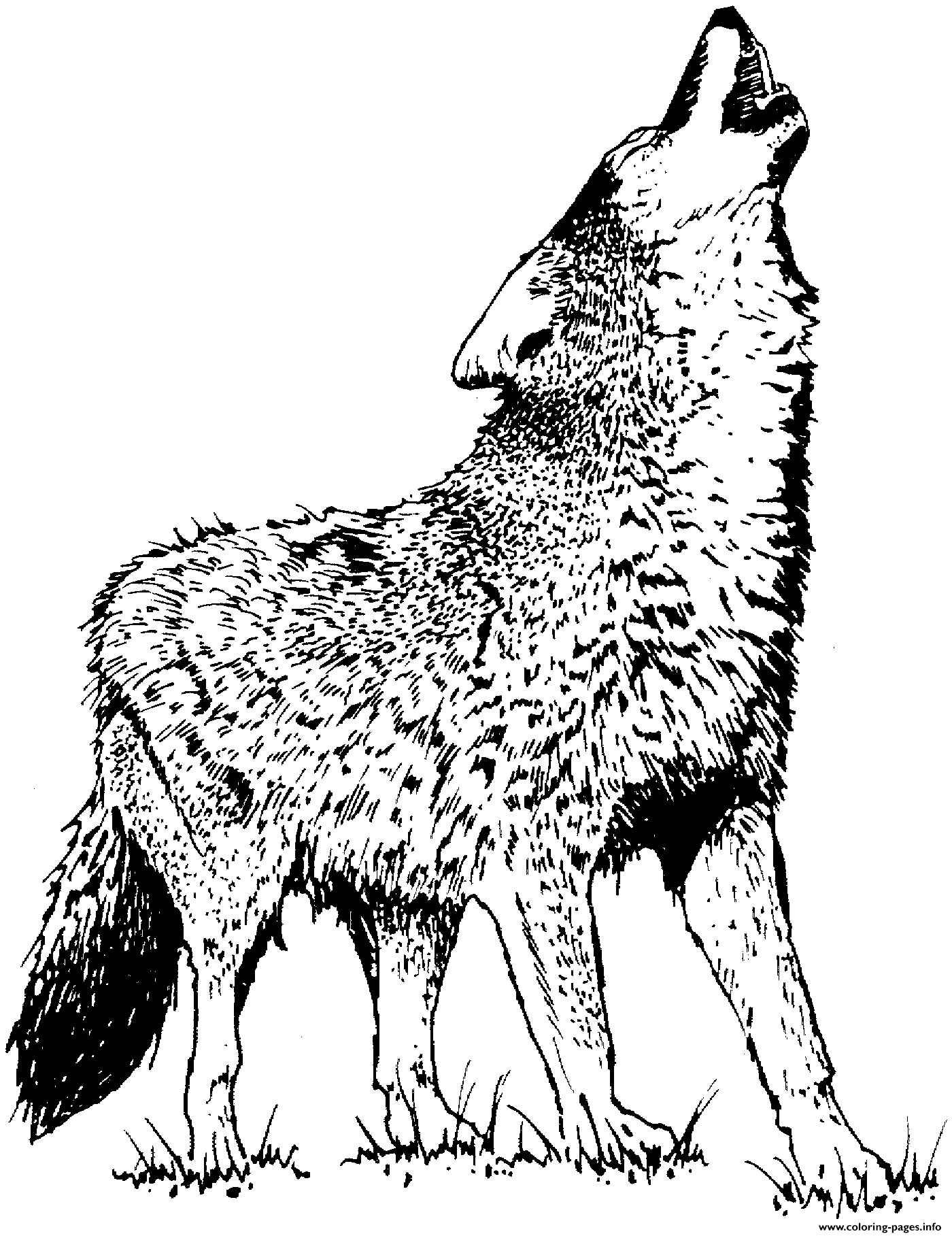 Print simple cute wolf Coloring pages