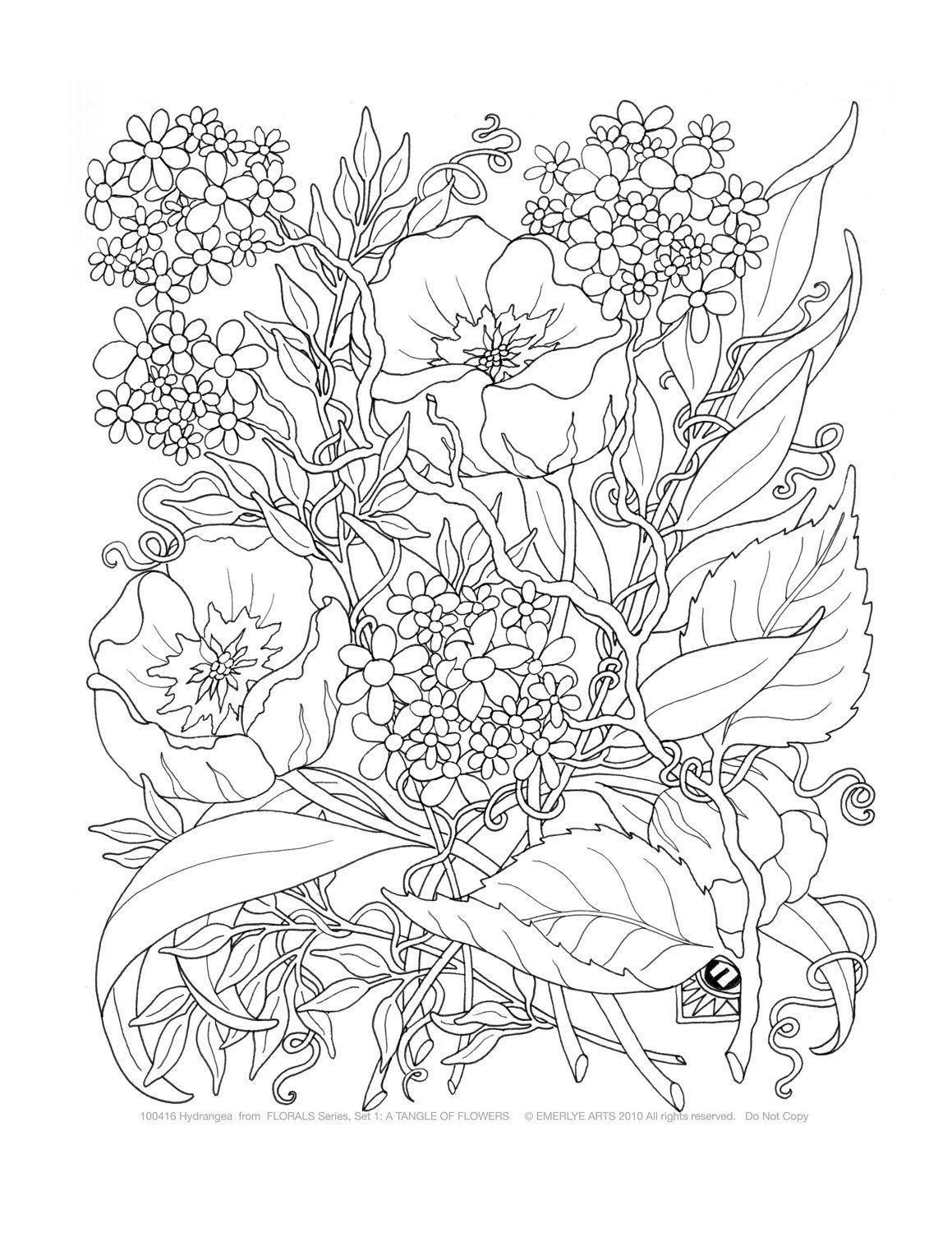 Printable Coloring Pages For Adults Flowers   Coloring Home