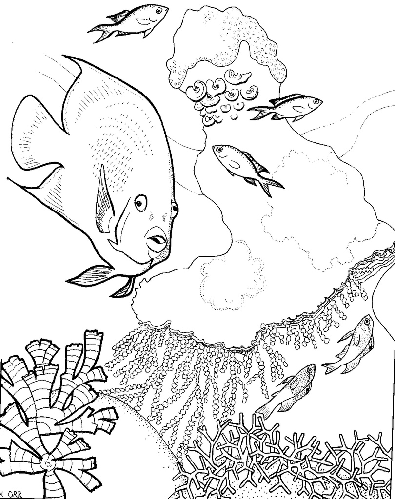 Coral Reef and Fish Coloring Page