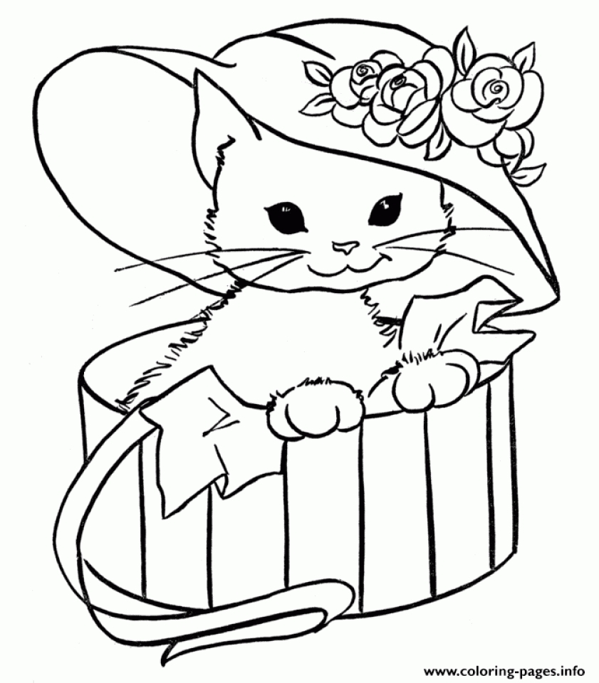 Preschool Kitten Coloring Pages   Coloring Home