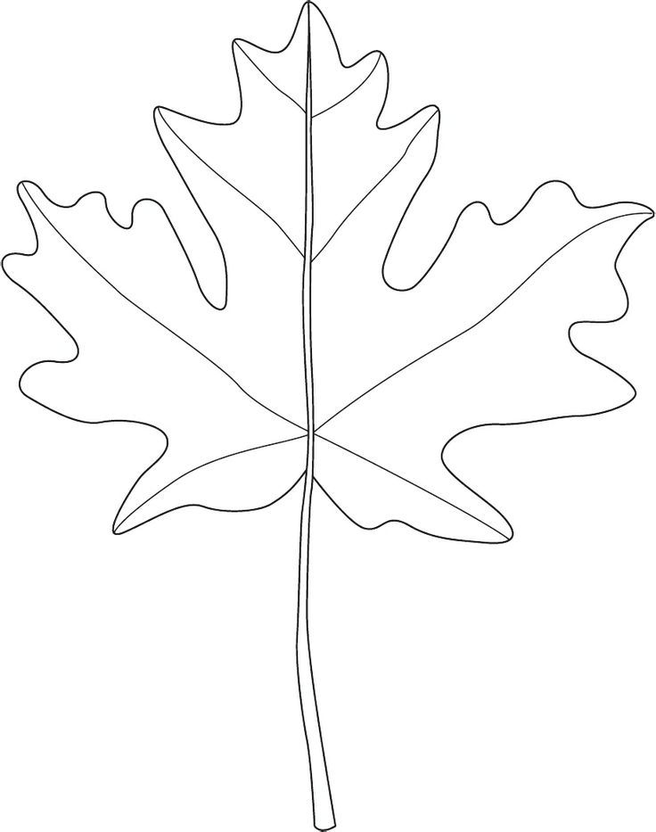 1000+ ideas about Leaf Patterns | Yarn Bowl, Printing ...