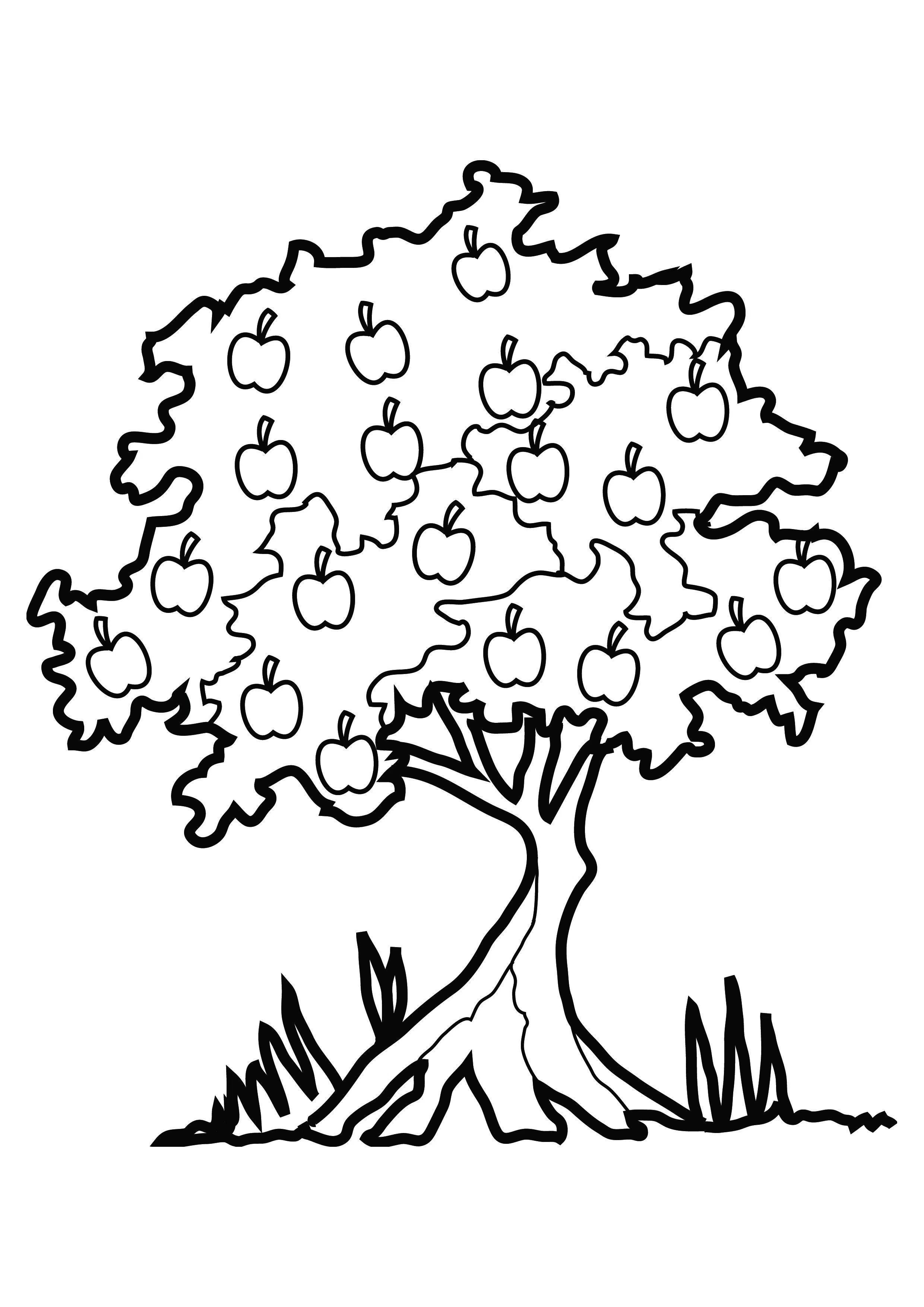 Free Coloring Pages Tree Of Life Season Tree Coloring Pages