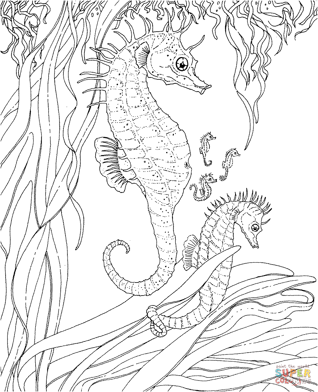 Seahorse coloring pages | Free Coloring Pages