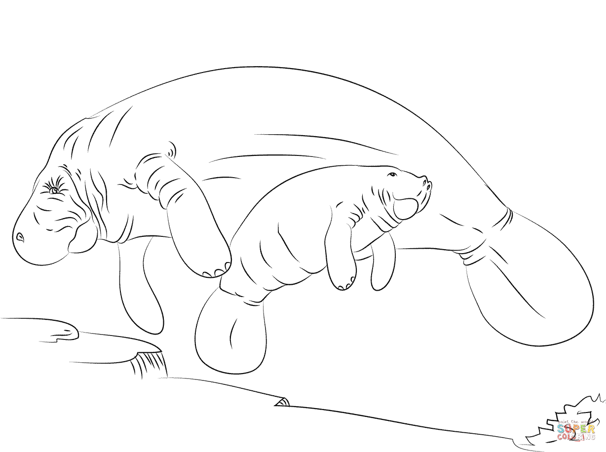 Manatee Mother And Baby coloring page | Free Printable Coloring Pages