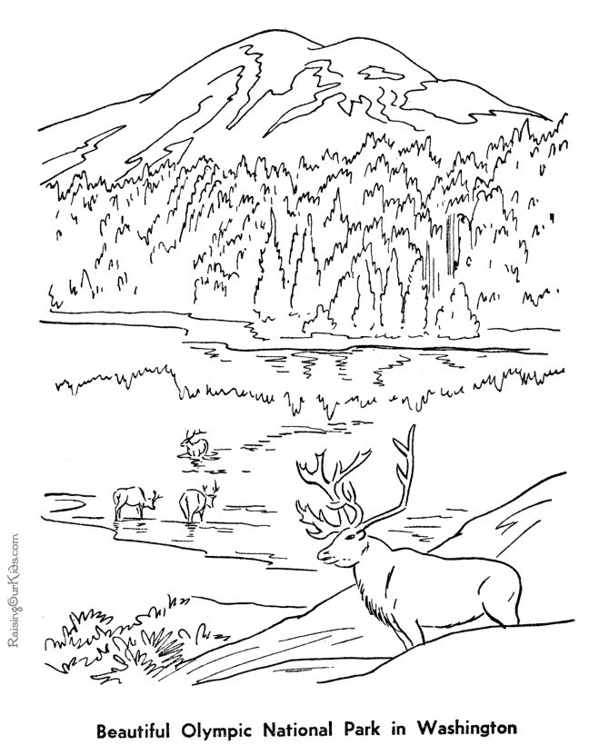 Olympic National Park coloring page - 022
