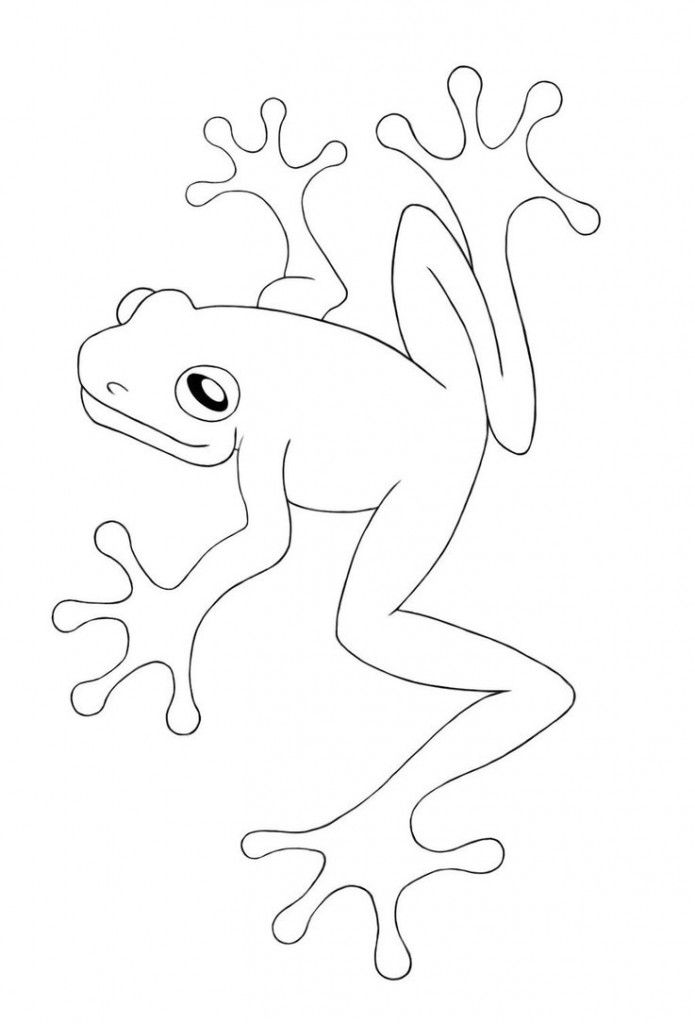 Green Tree Frog Colouring Pages - Feedthefightbos