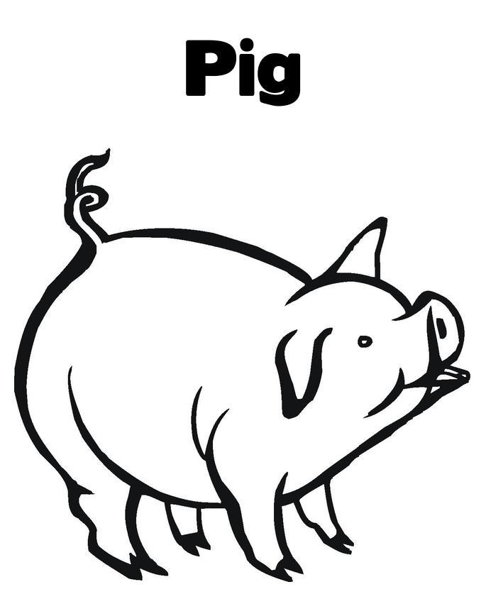 Coloring Pages A Pig Animal | Animal Coloring pages of ...