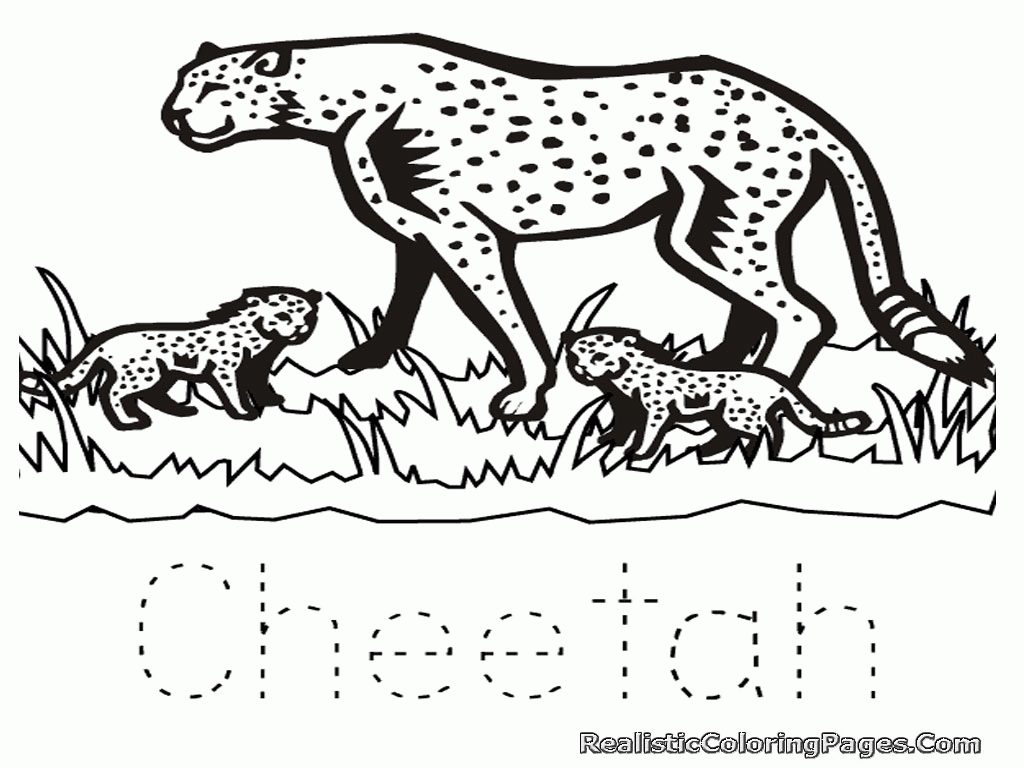 Cheetah coloring pages to download and print for free