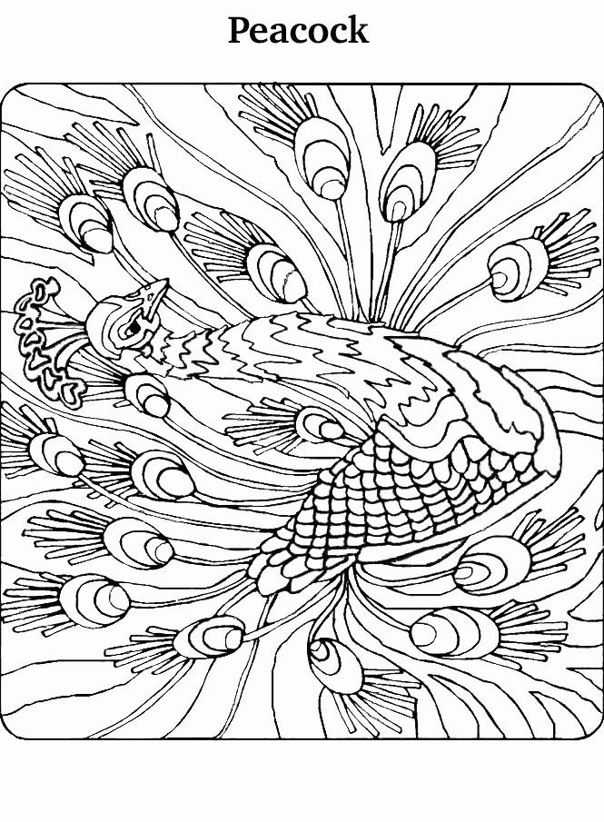 coloring-pages-for-adults-difficult-peacock-3.jpg