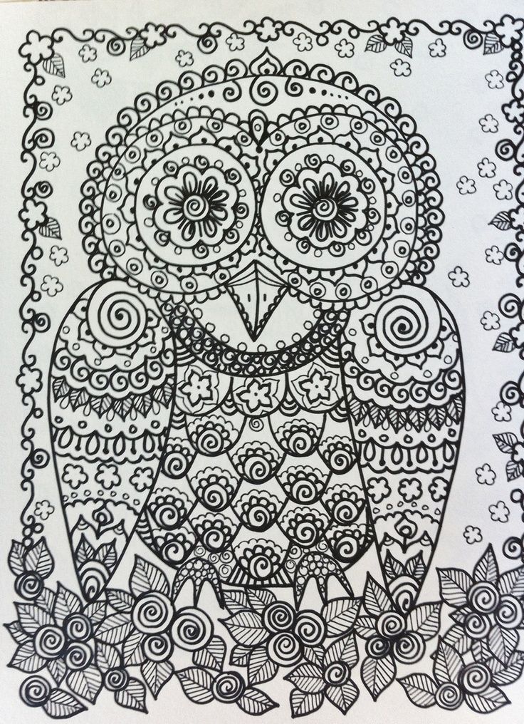 coloring book owls have some fun and be the artist original