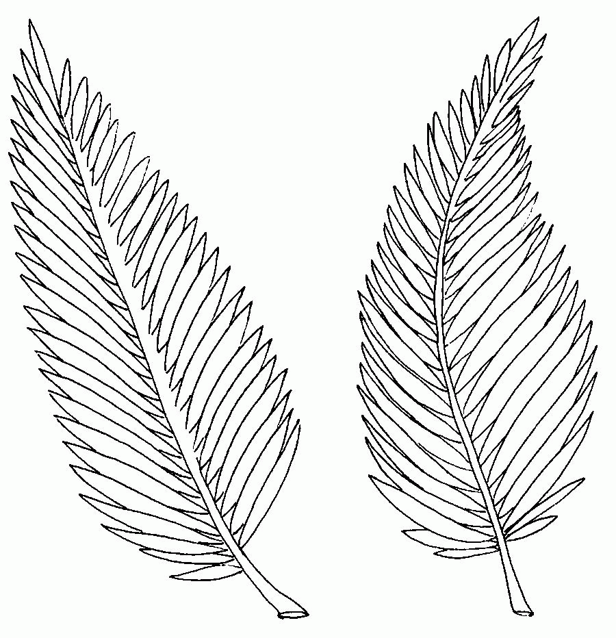 leaf Free Coloring pages online print.