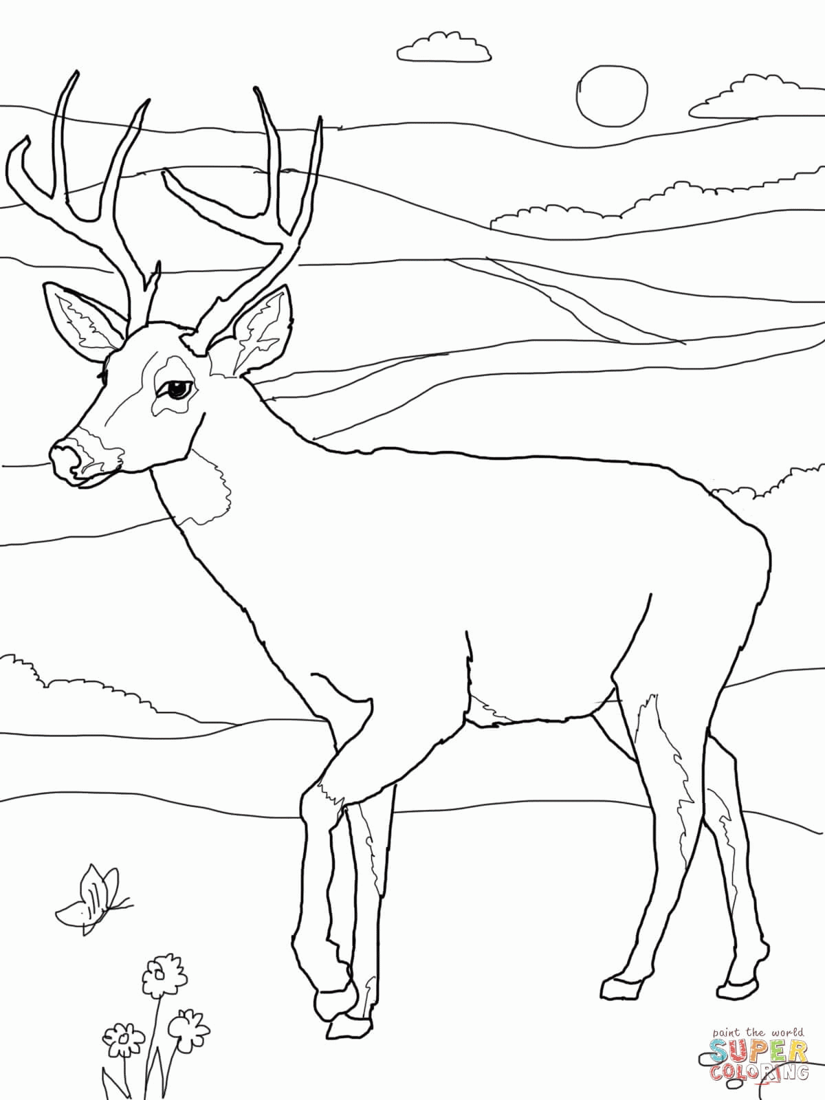 Hunting Animals Coloring Pages