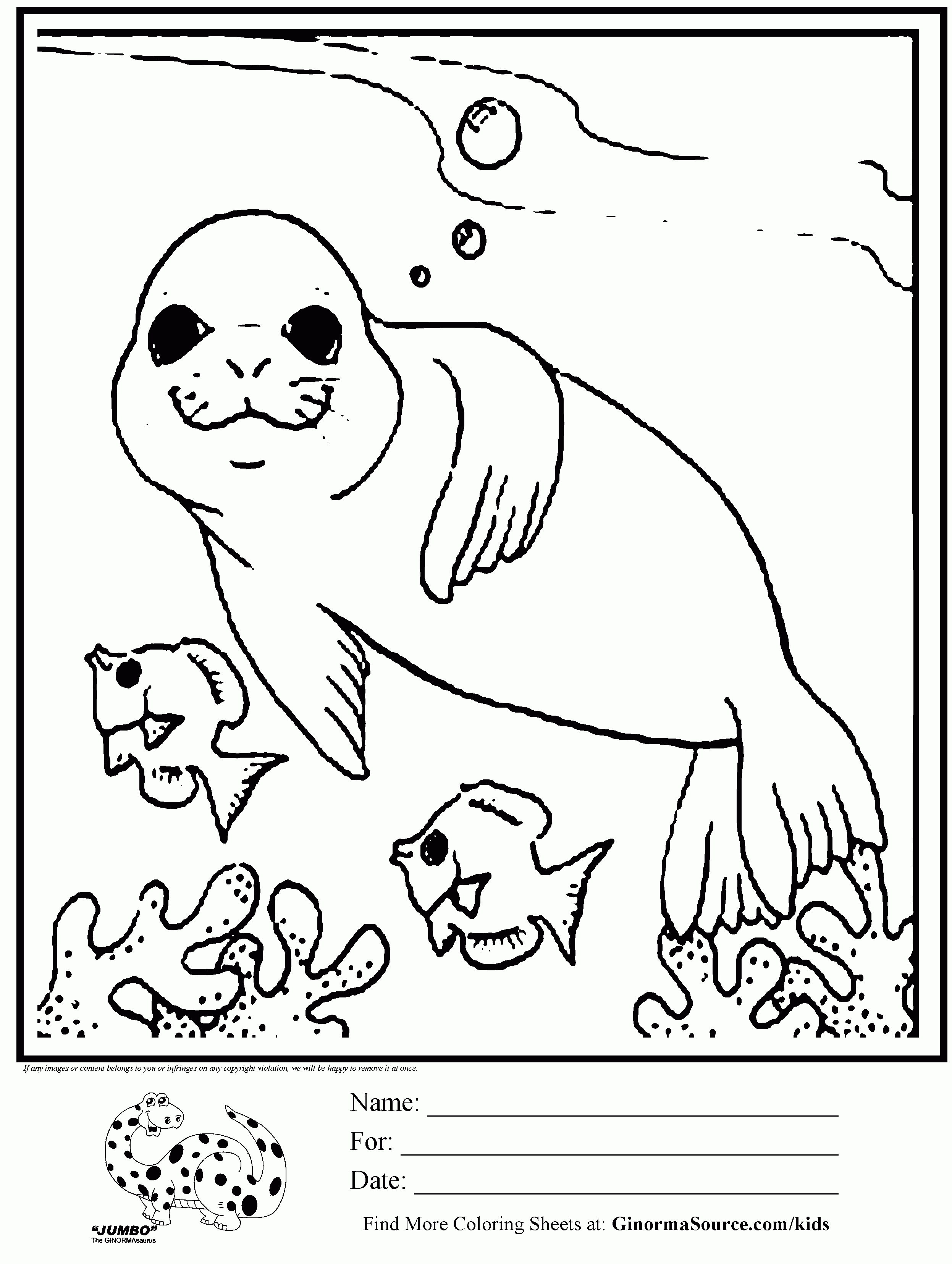 Seal Swimming With Fish Coloring Page