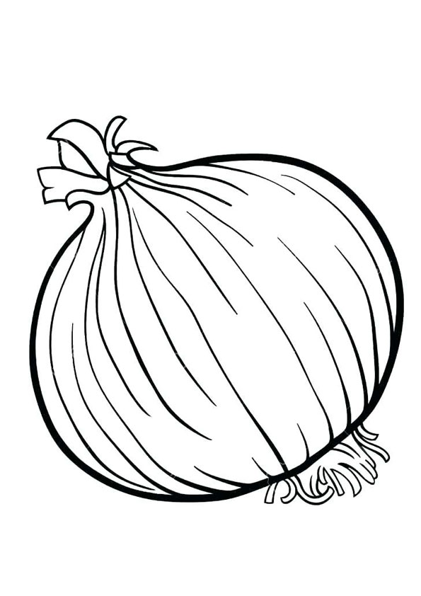 Coloring Pages | Onion Coloring Page
