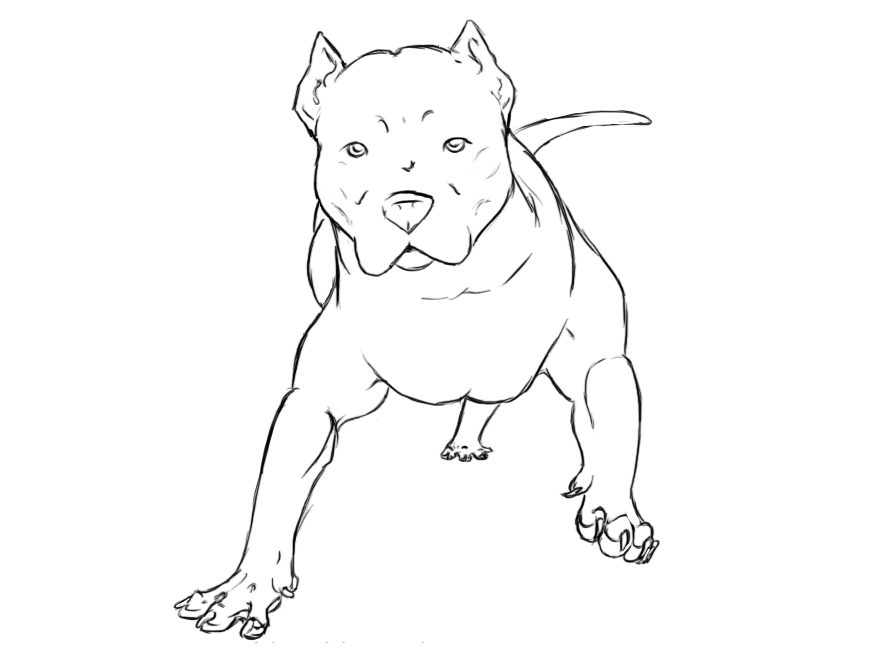 Coloring Pages Of Pitbull