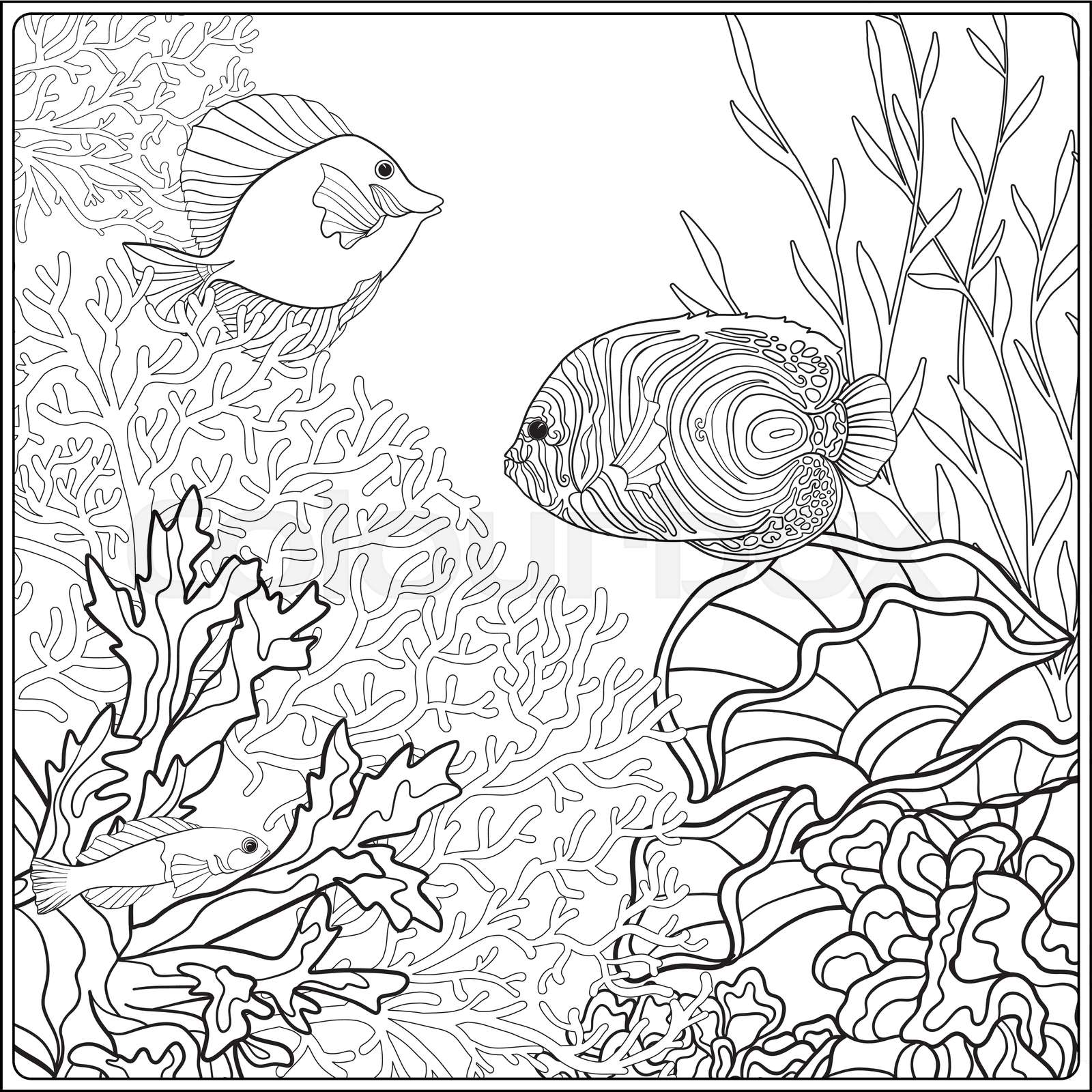 Coloring page with underwater world coral reef. Corals, fish and seaweeds.  | Stock vector | Colourbox