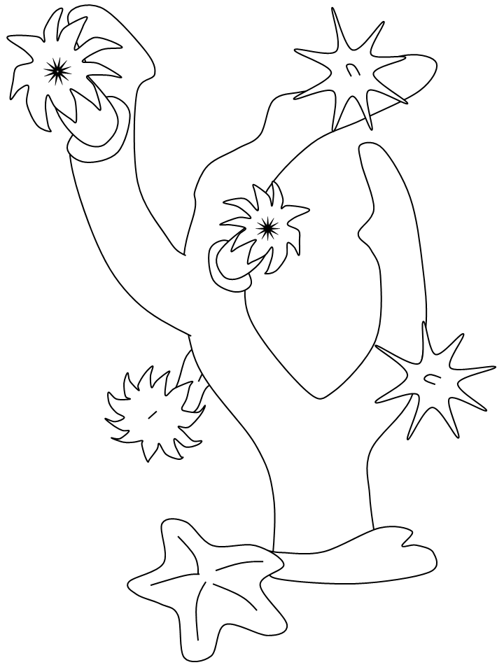 11 Pics of Sea Coral Reef Coloring Pages Of Animals - Coral Reef ...