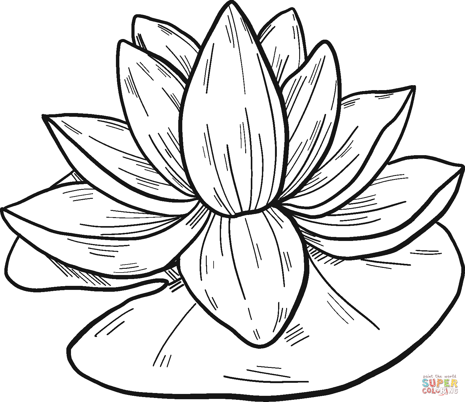 Water Lily coloring page | Free Printable Coloring Pages