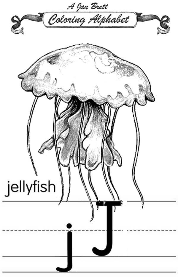 realistic jellyfish alphabet J coloring page - Download & Print ...