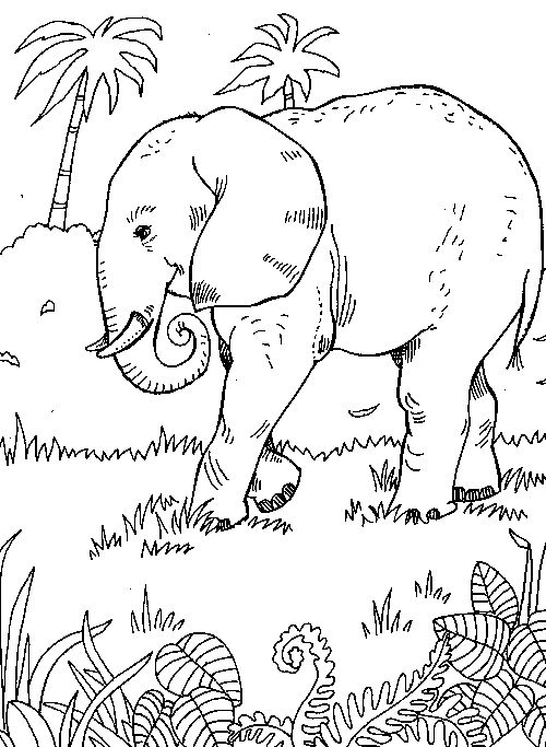 Elephant Jungle Scene (From "999 Coloring Pages") | Flat Paper ...