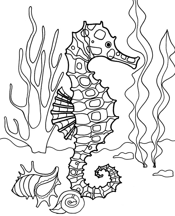 Seahorse ocean bottom coloring sheets, pages for kids