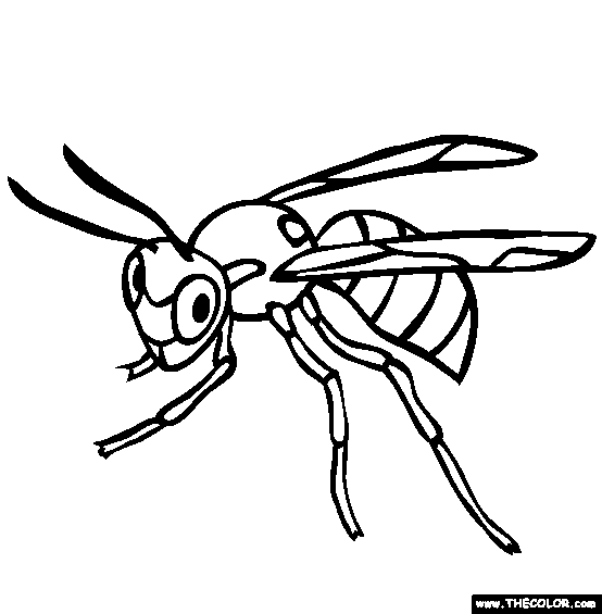 Wasp Coloring Page | Free Wasp Online Coloring | Online coloring ...