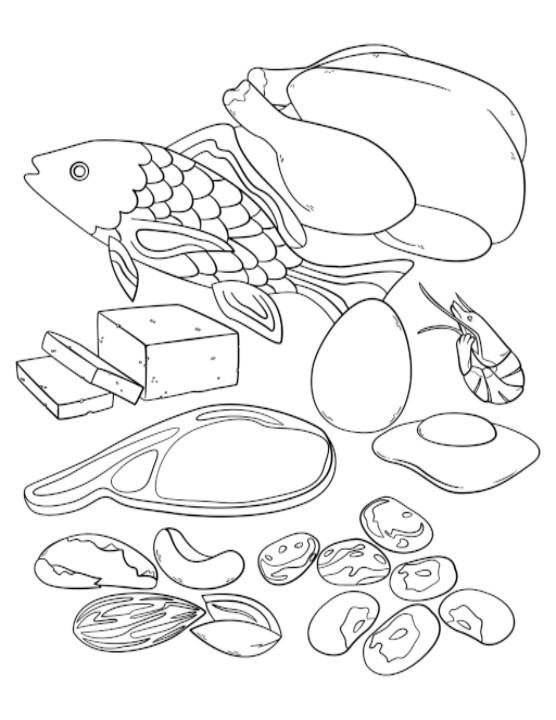 printable-protein-food-group-coloring-pages-this-printable-has-a-pdf