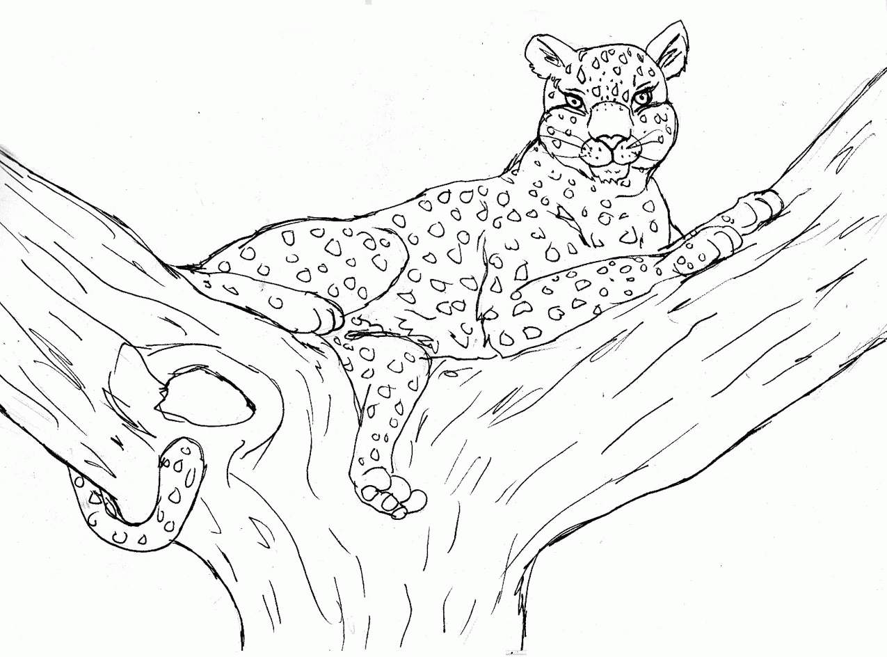 Leopard Coloring Pages Of The Tree | Deliyazar.com