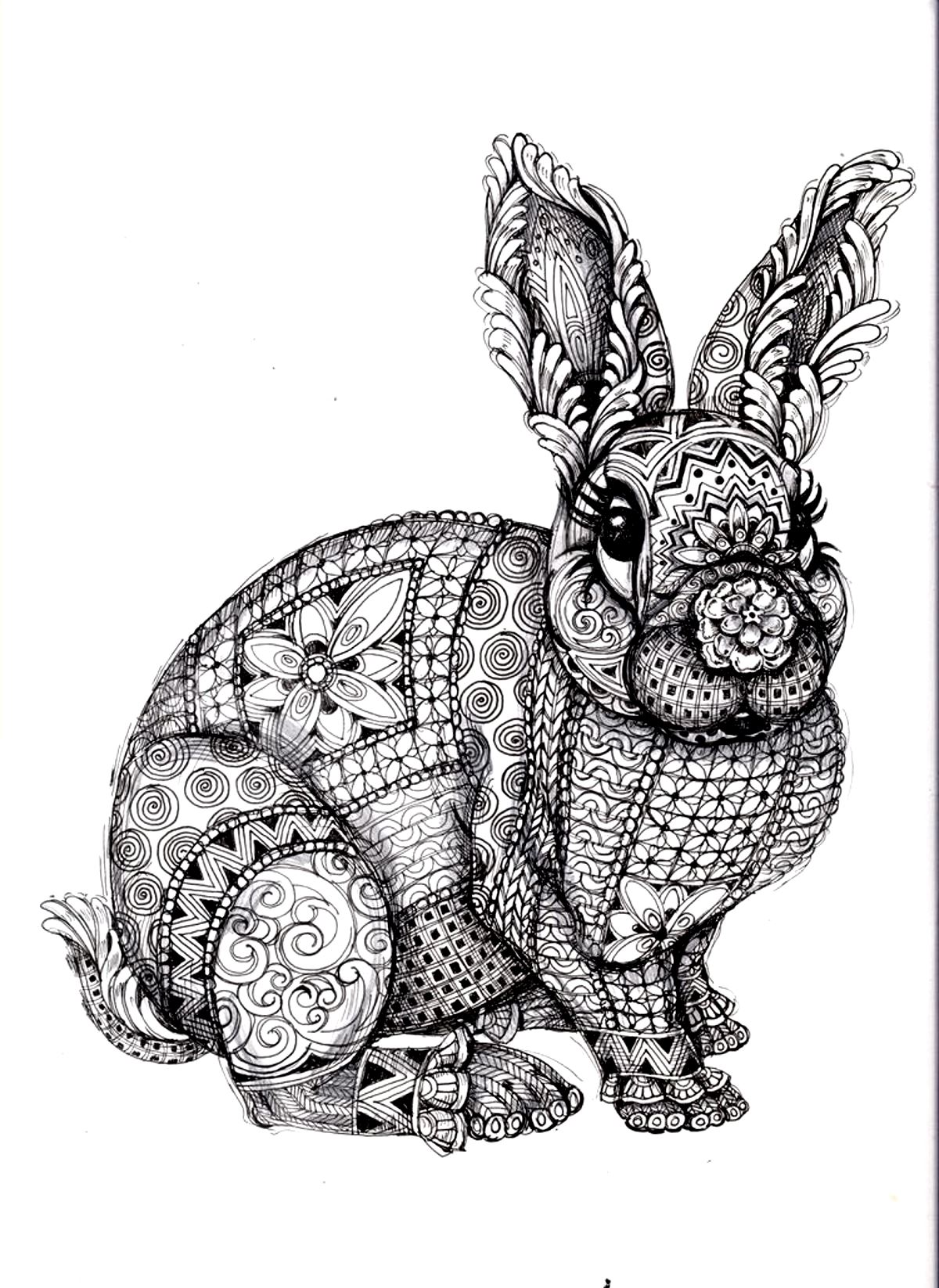difficult rabbit adult coloring page | Only Coloring Pages