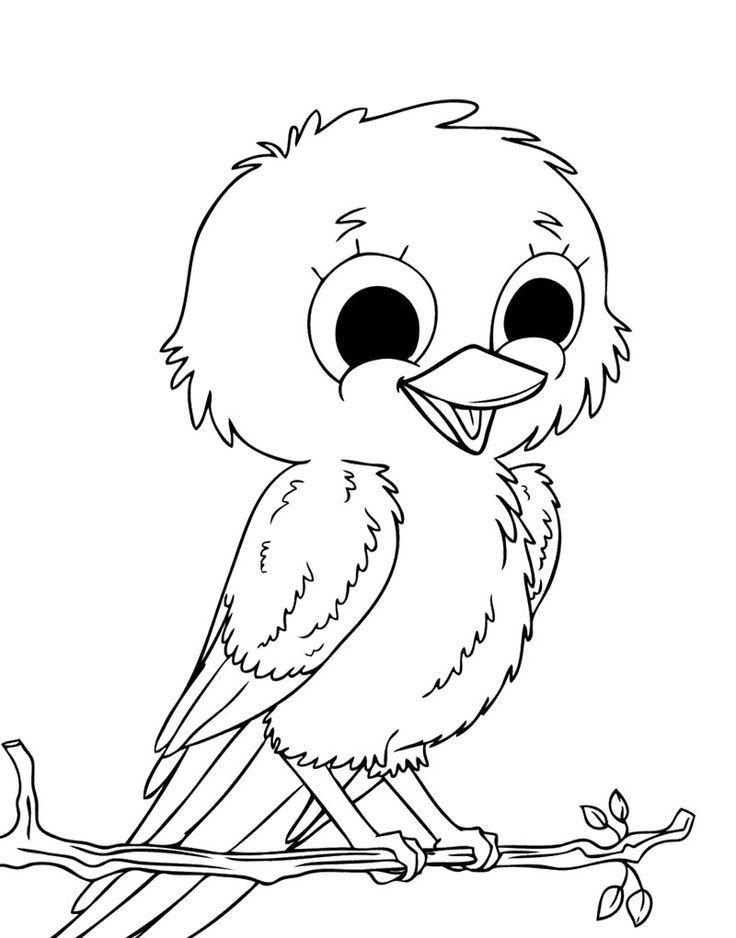 Cute Bird - Coloring Pages for Kids and for Adults
