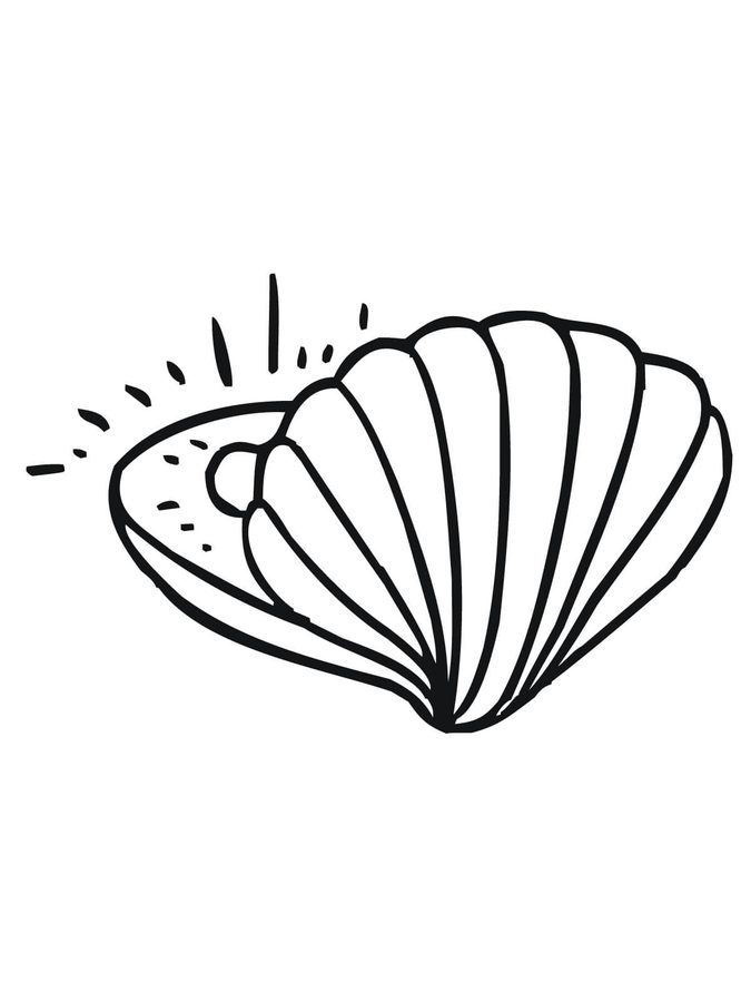 Coloring pages: Coloring pages: Clam, printable for kids & adults, free