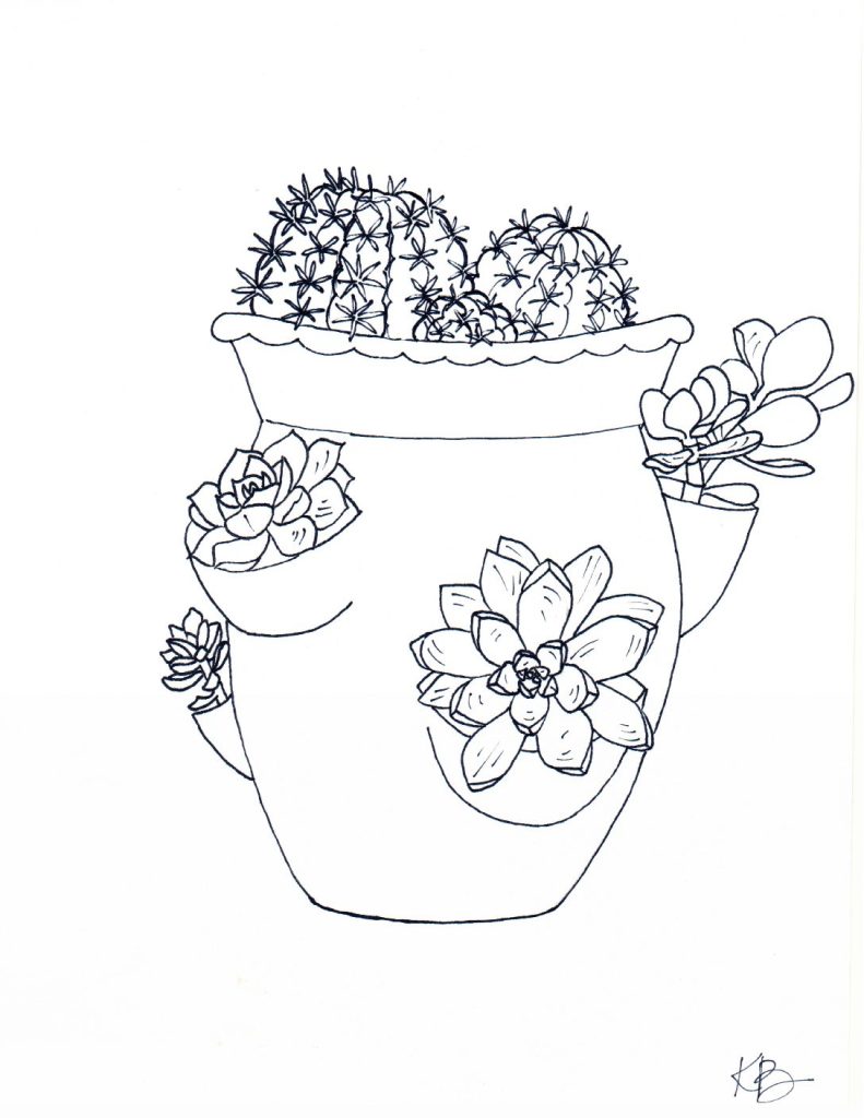 Succulent coloring sheet - The Sunshine Crew Coloring Together