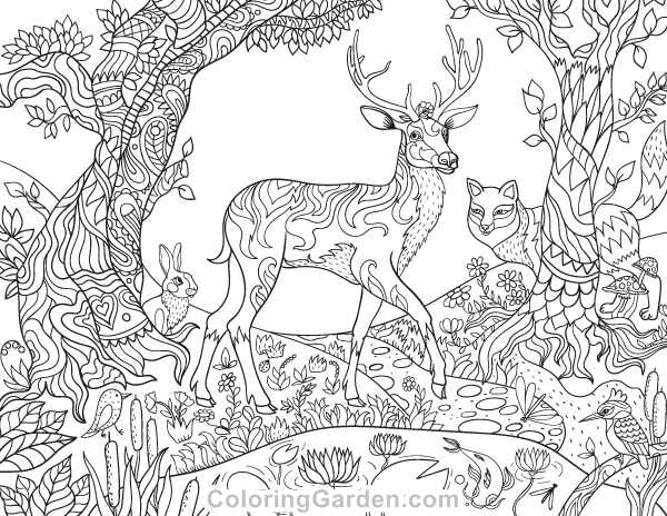Forest Coloring Pages Ideas - Whitesbelfast.com