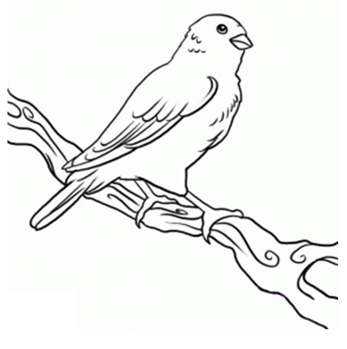 Colorado History Coloring Pages - Coloring Pages For All Ages
