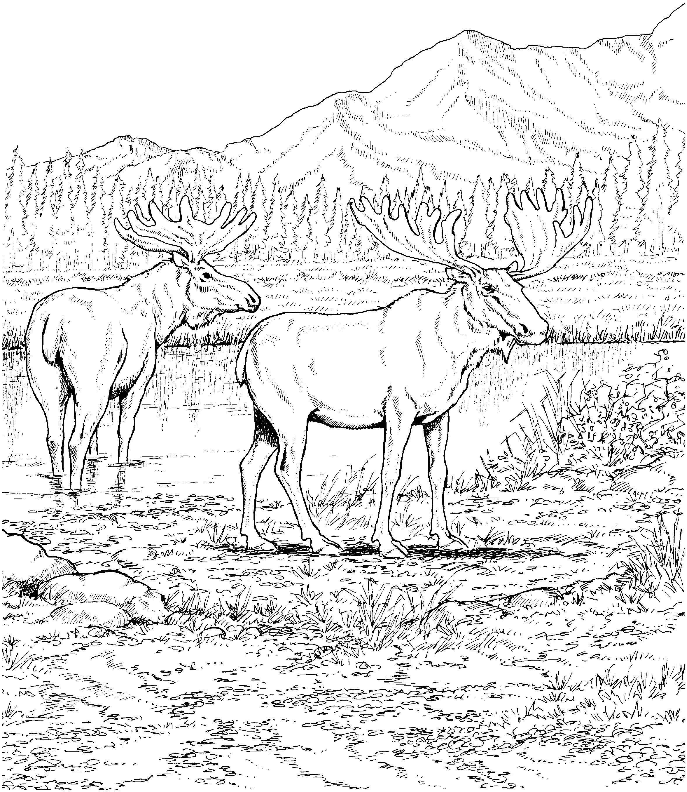 Rocky Mountains Coloring Page - Coloring Home