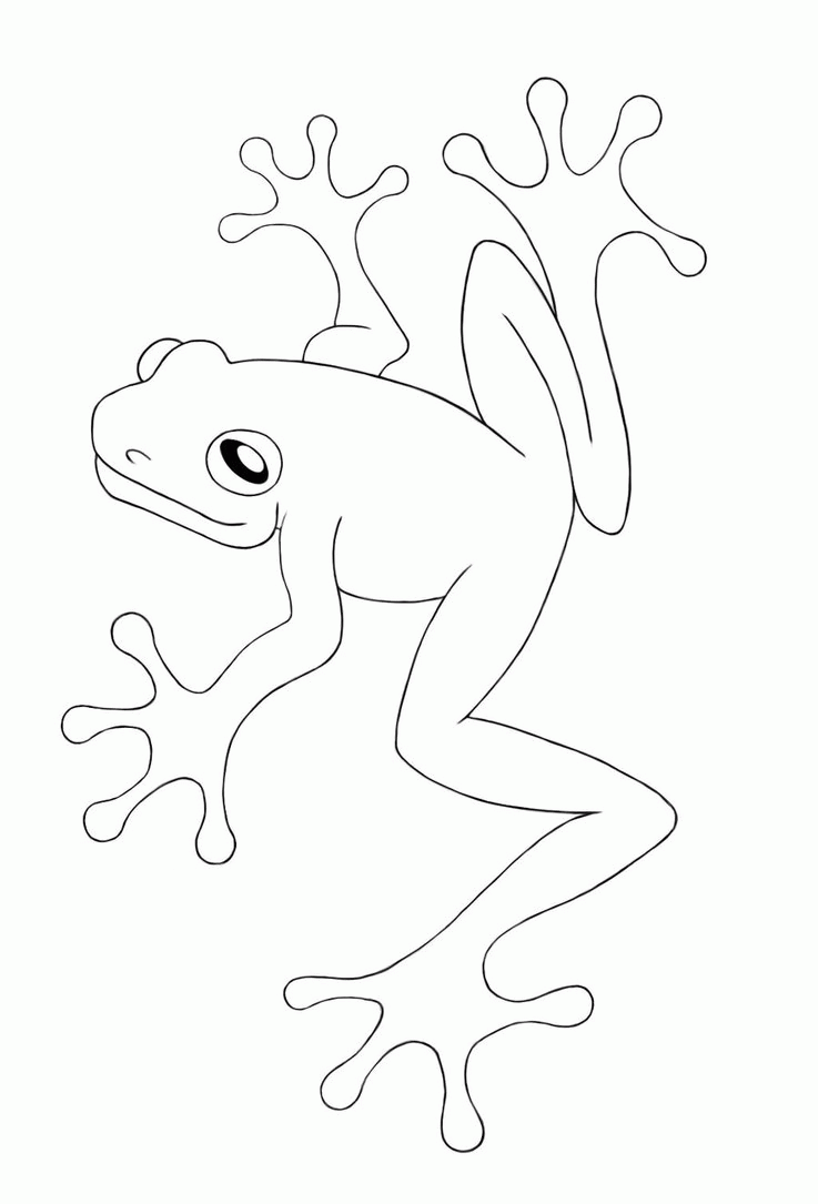 Frogs - Coloring Pages for Kids and for Adults