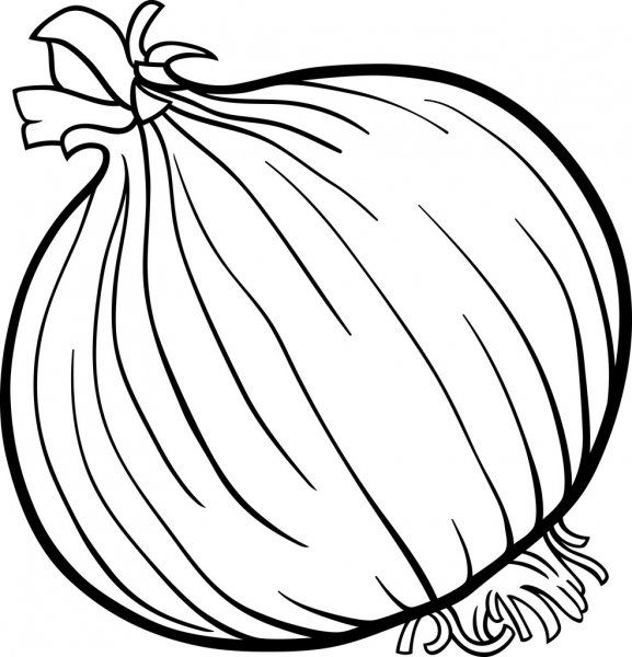 Onion vegetable cartoon for coloring book - Stock Vector , #AFFILIATE,  #cartoon, #vegetable, #Onio… in 2020 | Fruit coloring pages, Vegetable coloring  pages, Coloring pages