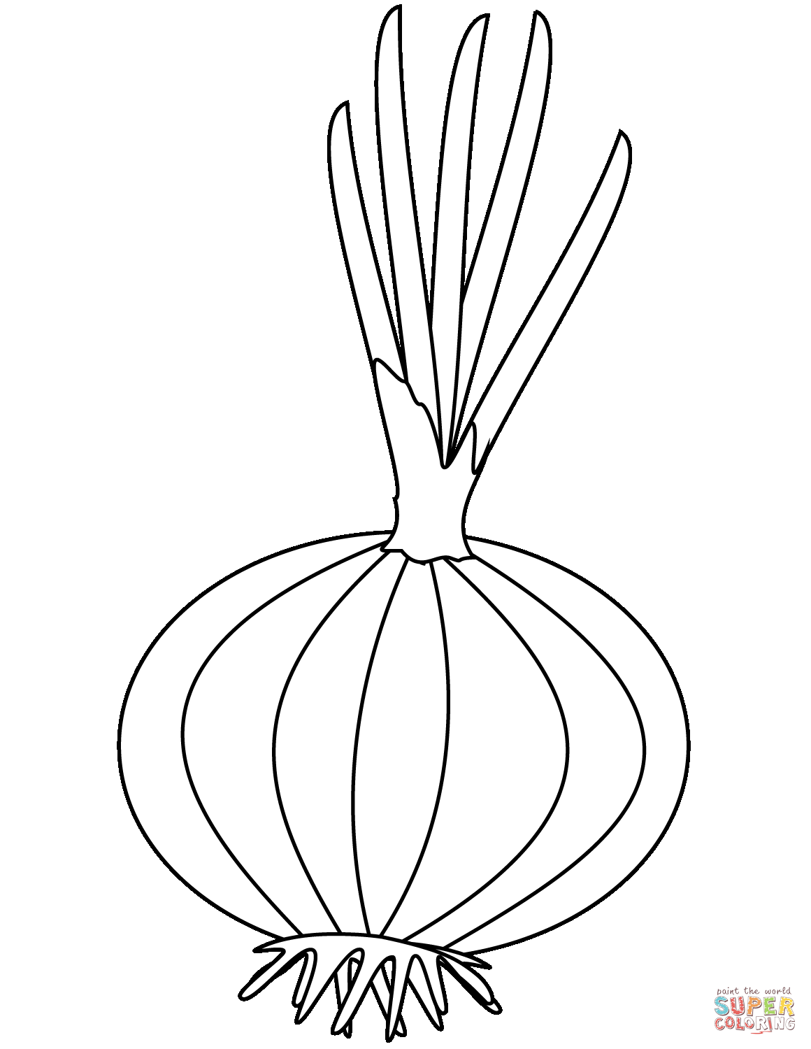 Onion coloring page | Free Printable Coloring Pages