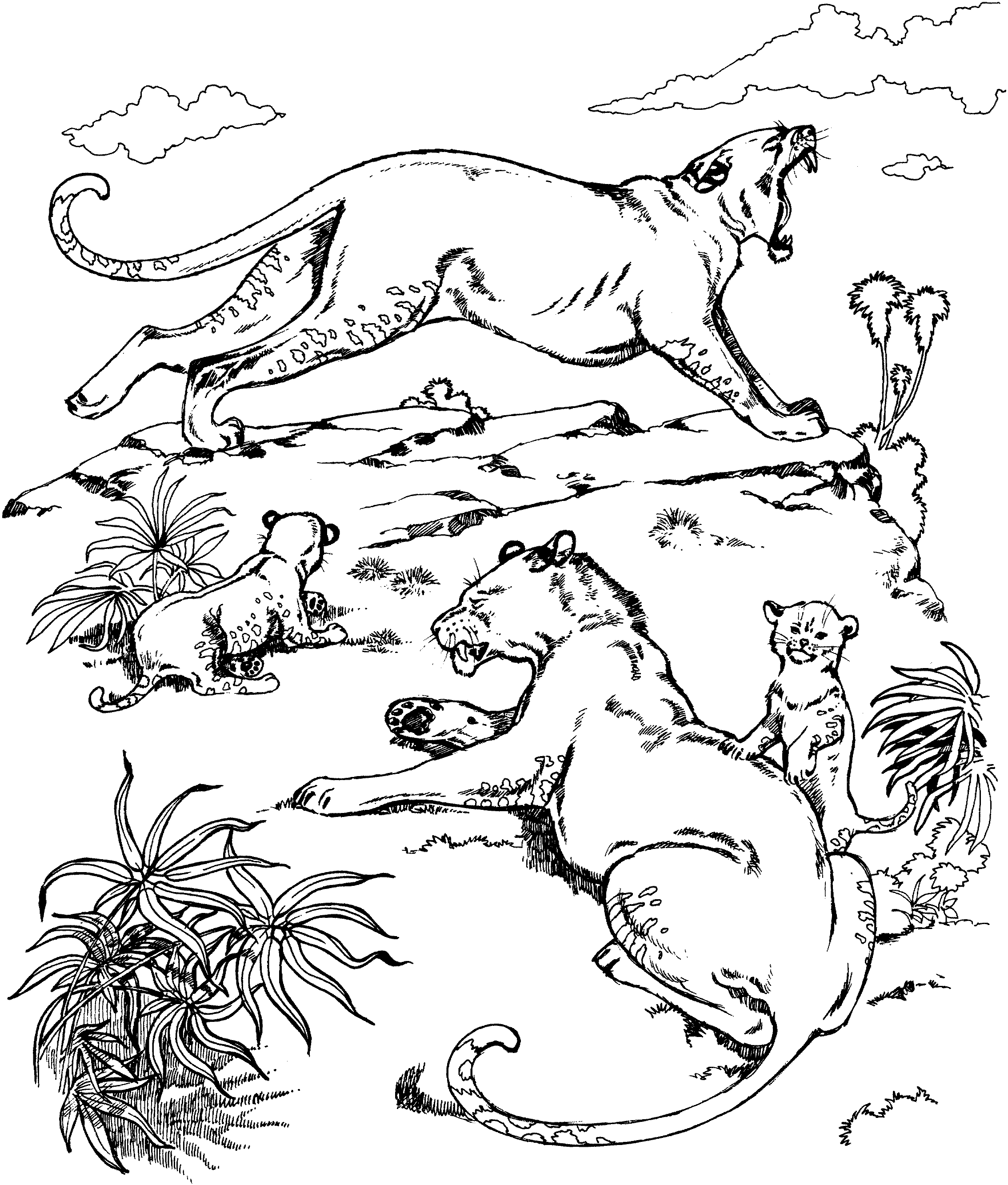 Snow Lion Coloring Pages   Coloring Home