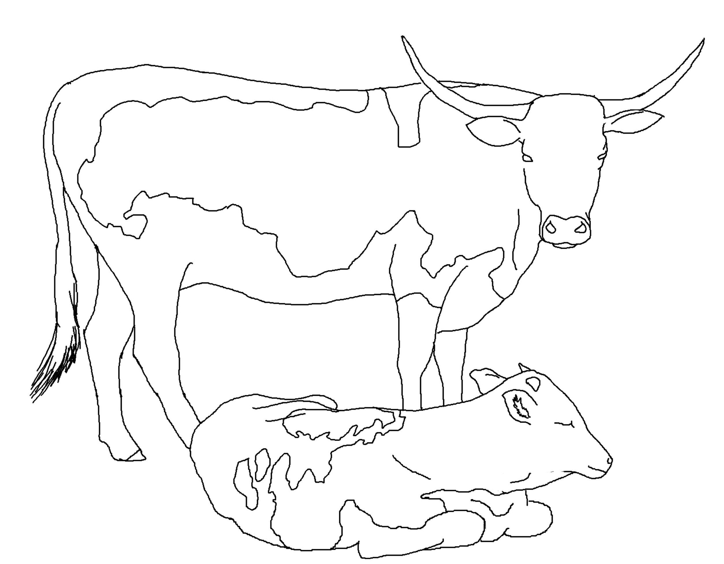 Cow Coloring Pages Free Printable Coloring Home