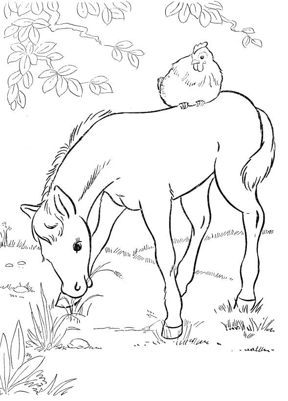 Baby Animal Coloring Pages : Rhino And Her Baby Free Animal ...