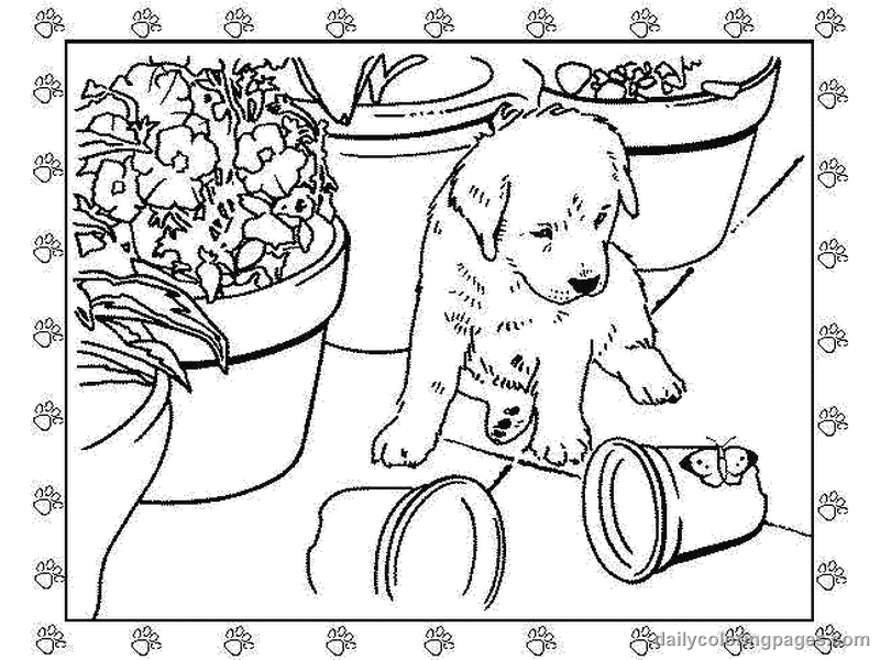 Printable Puppies And Kittens Coloring Pages - Coloring Page